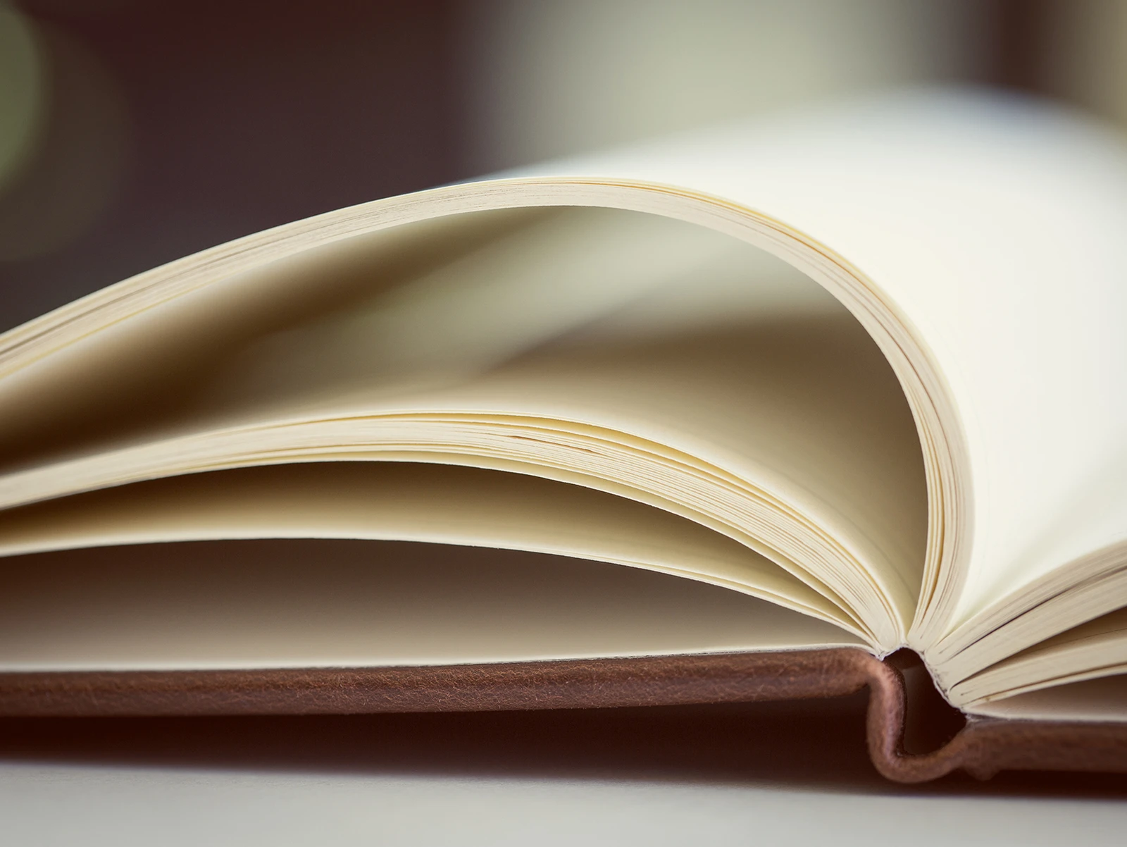 Nachlieferung Handbuch Unterstützte Kommunikation