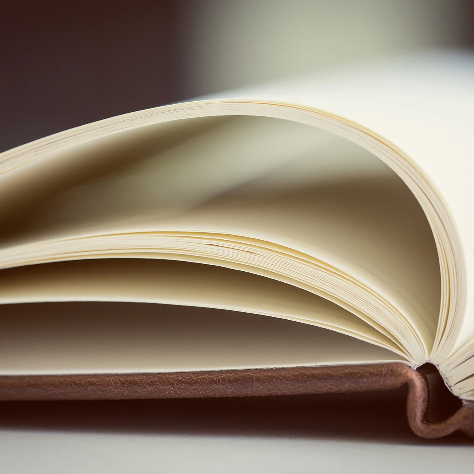 Nachlieferung Handbuch Unterstützte Kommunikation
