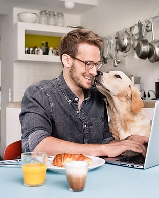 Homeoffice mit Hund
